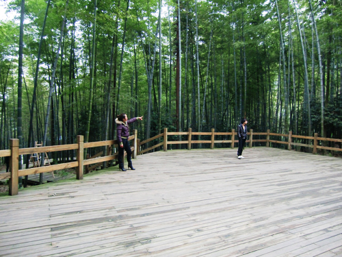 翠竹園<a style=color:#FF0000 href=http://www.pcluntan.com/art-10-3-yw.html?dq=>農(nóng)家樂</a>周邊環(huán)境 翠竹園<a style=color:#FF0000 href=http://www.pcluntan.com/art-10-3-yw.html?dq=>農(nóng)家樂</a>周邊環(huán)境