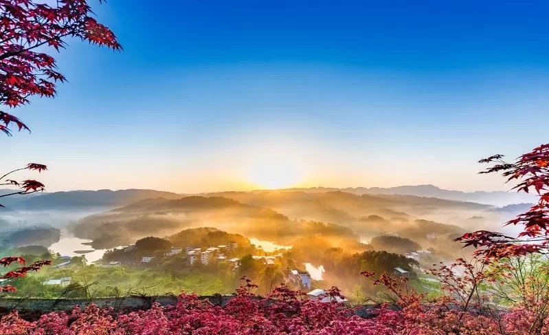 多彩植物園紅葉旅游文化節(jié) 多彩植物園紅葉旅游文化節(jié)