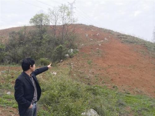 重慶市巴南區(qū)界石鎮(zhèn)新玉村11社132畝林地出租或者流轉(zhuǎn) 重慶市巴南區(qū)界石鎮(zhèn)新玉村11社132畝林地出租或者流轉(zhuǎn)