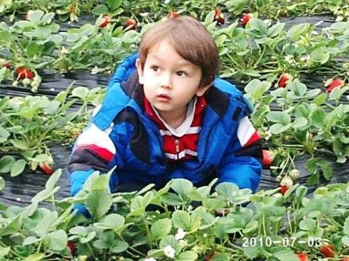 ؑcݮժؑc@(rn)ݮժ@