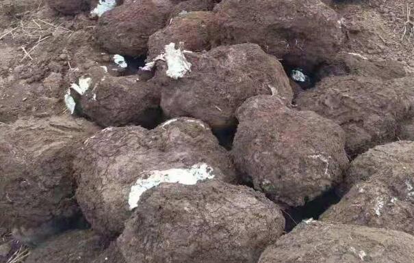 ,019NֲʲôˎĒX꿴õˎƷN]