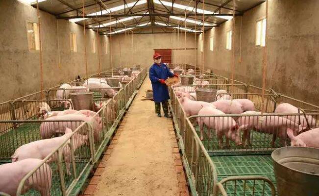 B(yng)iiL(zhng)i