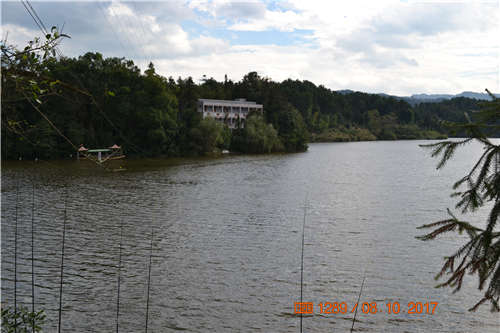 뽭^(q)ˮr(nng)Ҙ(l)~(y)