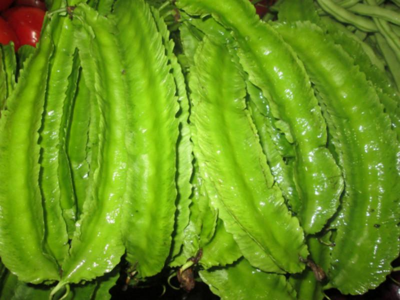 豆中之王--四角豆 豆中之王--四角豆