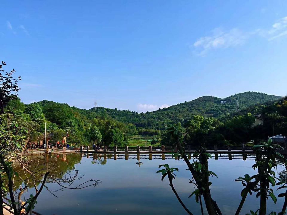 清澈的池塘 清澈的池塘