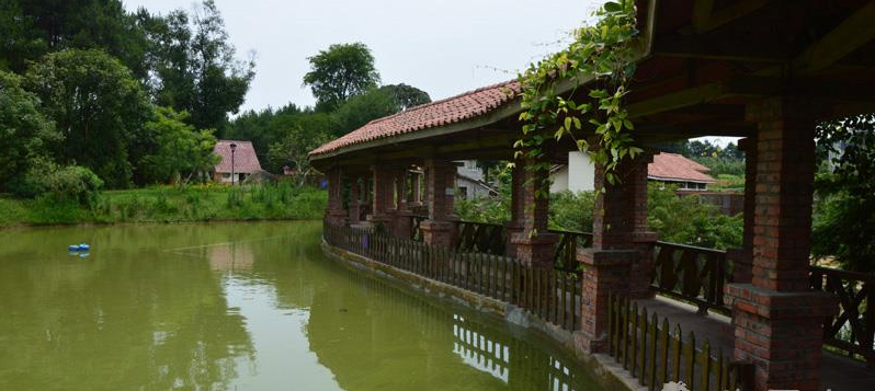別有一番的池塘 別有一番的池塘