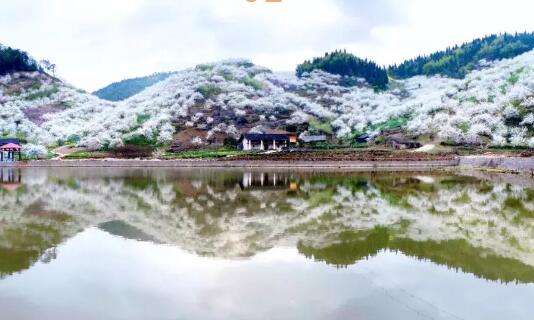 ھŌ山y(tng)(zhn)ӡ(ji)_Ļ