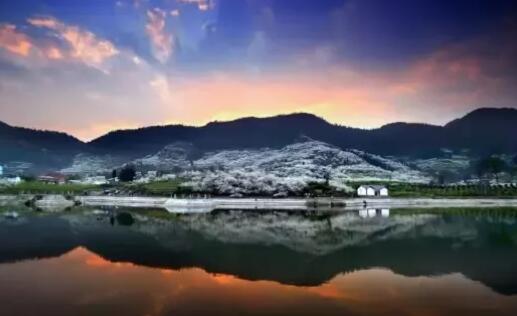 第九屆渝北統(tǒng)景鎮(zhèn)印盒李花節(jié)開幕 第九屆渝北統(tǒng)景鎮(zhèn)印盒李花節(jié)開幕