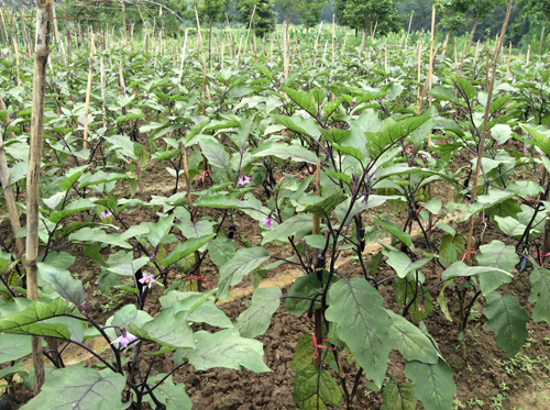 ؑcϺЙC(j)r(nng)t