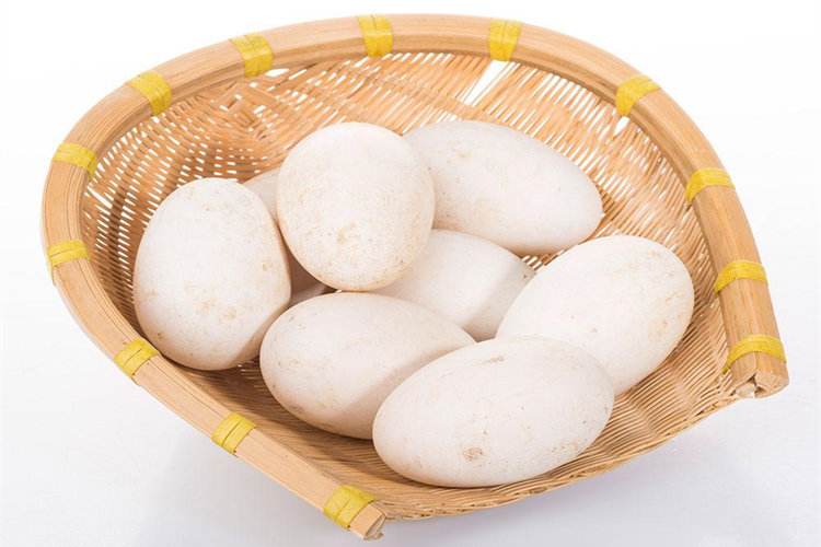 土雞鵝蛋 土雞鵝蛋