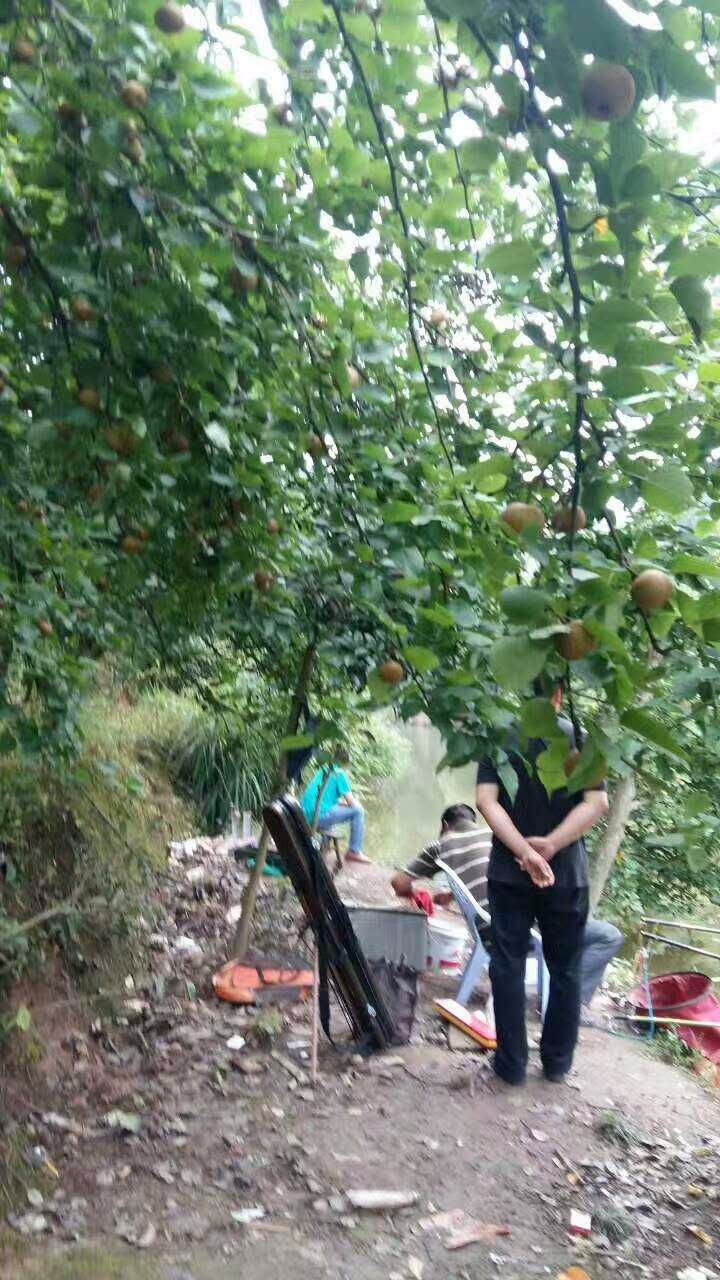 重慶巴南南湖朱姐<a style=color:#FF0000 href=http://www.pcluntan.com/art-10-3-yw.html?dq=>農(nóng)家樂</a> 重慶巴南南湖朱姐<a style=color:#FF0000 href=http://www.pcluntan.com/art-10-3-yw.html?dq=>農(nóng)家樂</a>