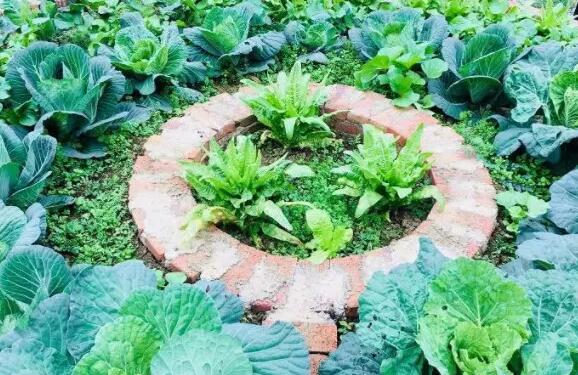 巴南涌泉居 巴南涌泉居