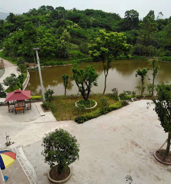 υ^(q)r(nng)Ҙ(l)h(hun)