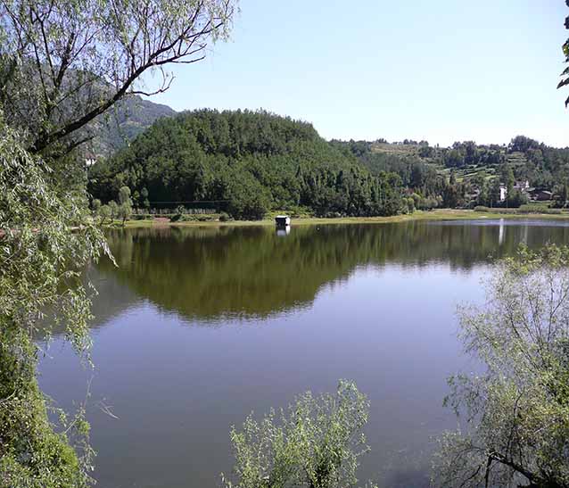 ؑc(lin)B(ti)B(yng)ֳ؅^/ؑcB(ti)~B(yng)ֳ/ؑc(lin)r(nng)I(y)