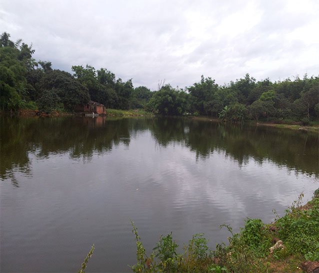 重慶天聯(lián)生態(tài)養(yǎng)殖基地參觀/重慶生態(tài)魚養(yǎng)殖基地/重慶天聯(lián)農(nóng)業(yè) 重慶天聯(lián)生態(tài)養(yǎng)殖基地參觀/重慶生態(tài)魚養(yǎng)殖基地/重慶天聯(lián)農(nóng)業(yè)