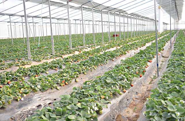 ؑc(lin)B(ti)B(yng)ֳ؅^/ؑcB(ti)~B(yng)ֳ/ؑc(lin)r(nng)I(y)