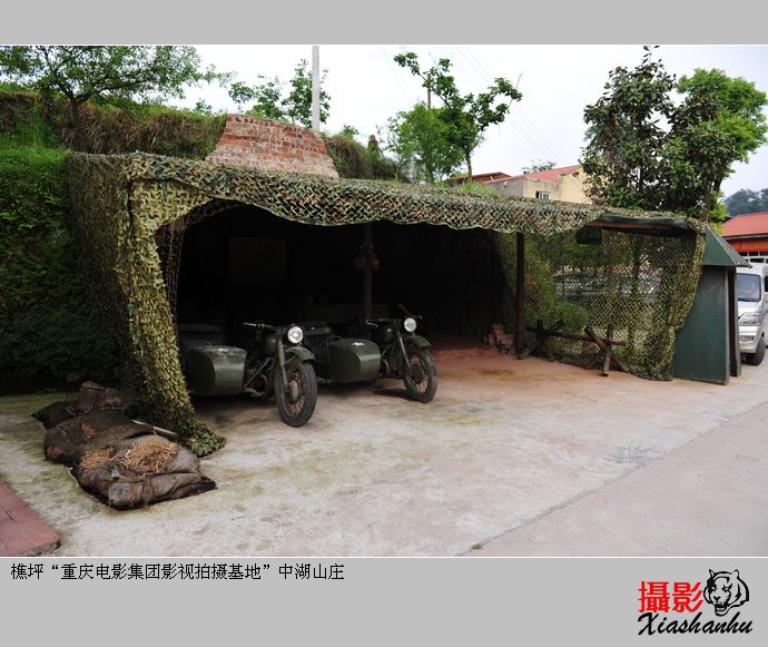 ƺӭ{ ߲Șw(yn)B(yng)(xing)Ŀ