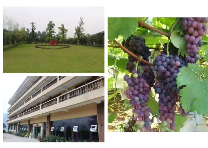 萬(wàn)州花語(yǔ)果生態(tài)休閑山莊 萬(wàn)州花語(yǔ)果生態(tài)休閑山莊