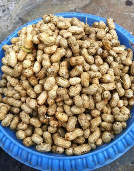 渝北區(qū)香濃莊園 渝北區(qū)香濃莊園