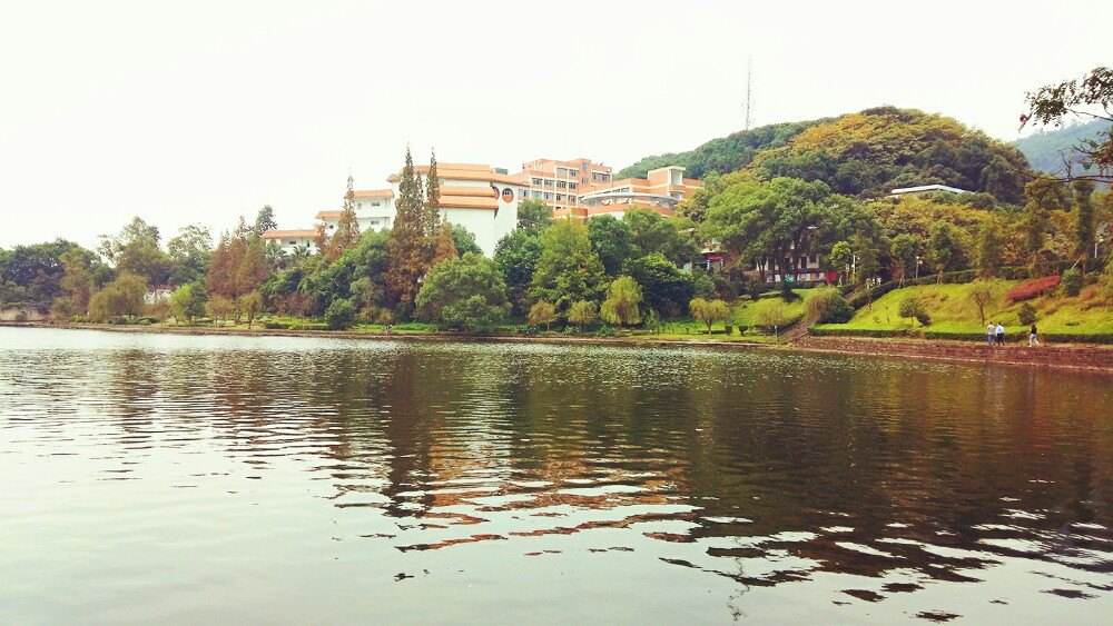 永川桃花島衛(wèi)星湖 永川桃花島衛(wèi)星湖