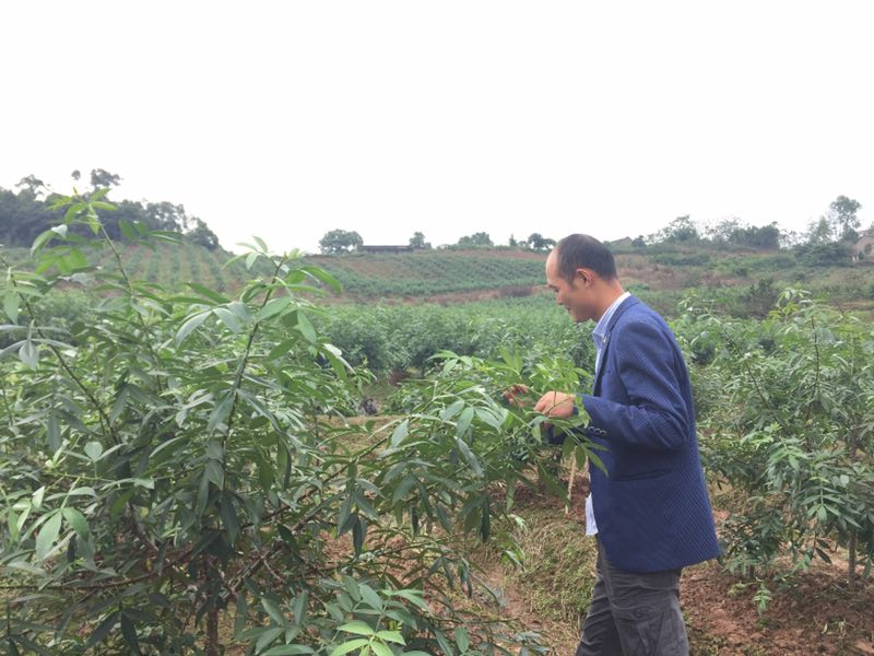 SSg(sh)ˆTţM(jn)мg(sh)ָ(do)