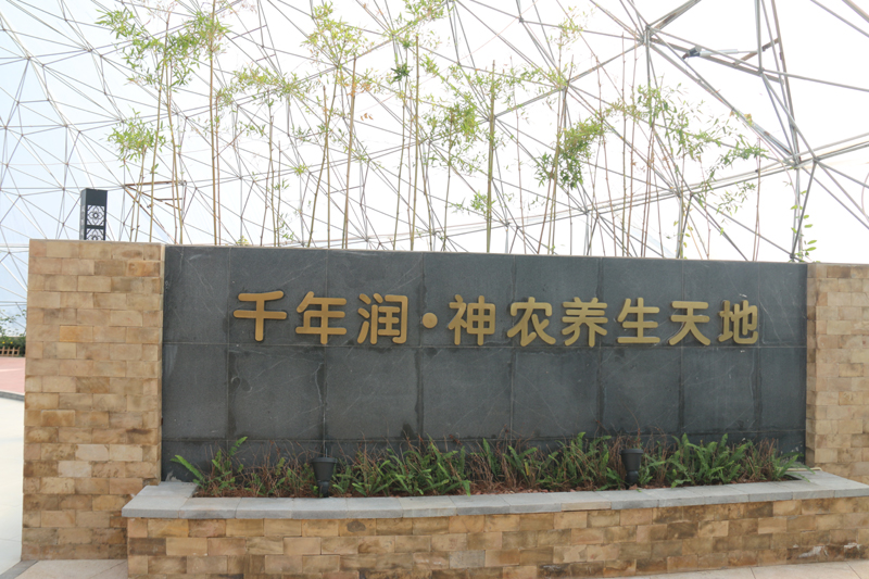 ǧꝙ•r(nng)B(yng)Ŀ