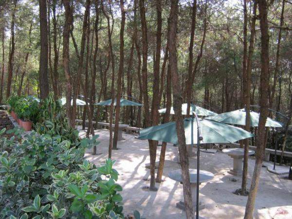 龍象度假酒店 龍象度假酒店