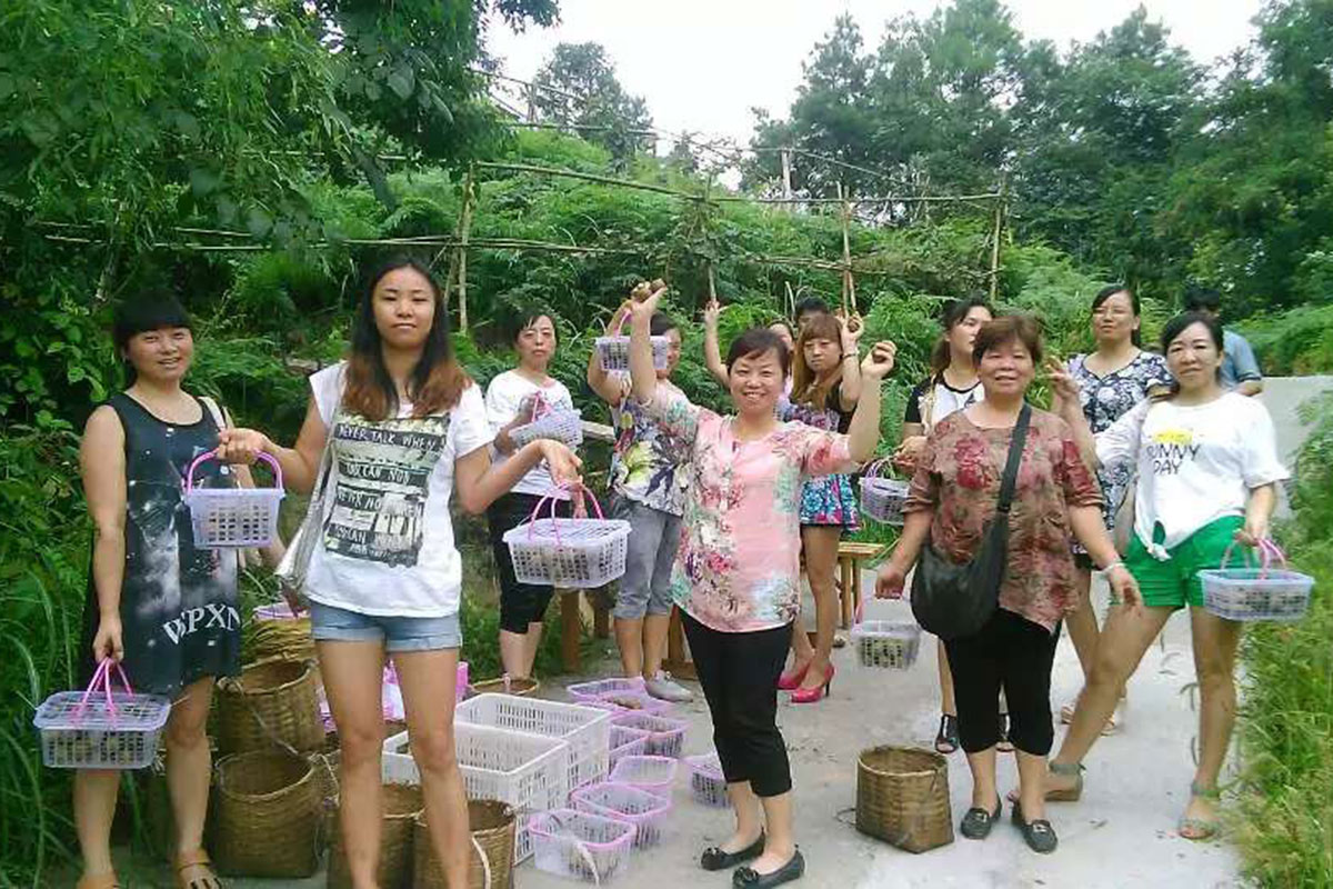 ؑc|ɽ^r(nng)I(y)ɫժ