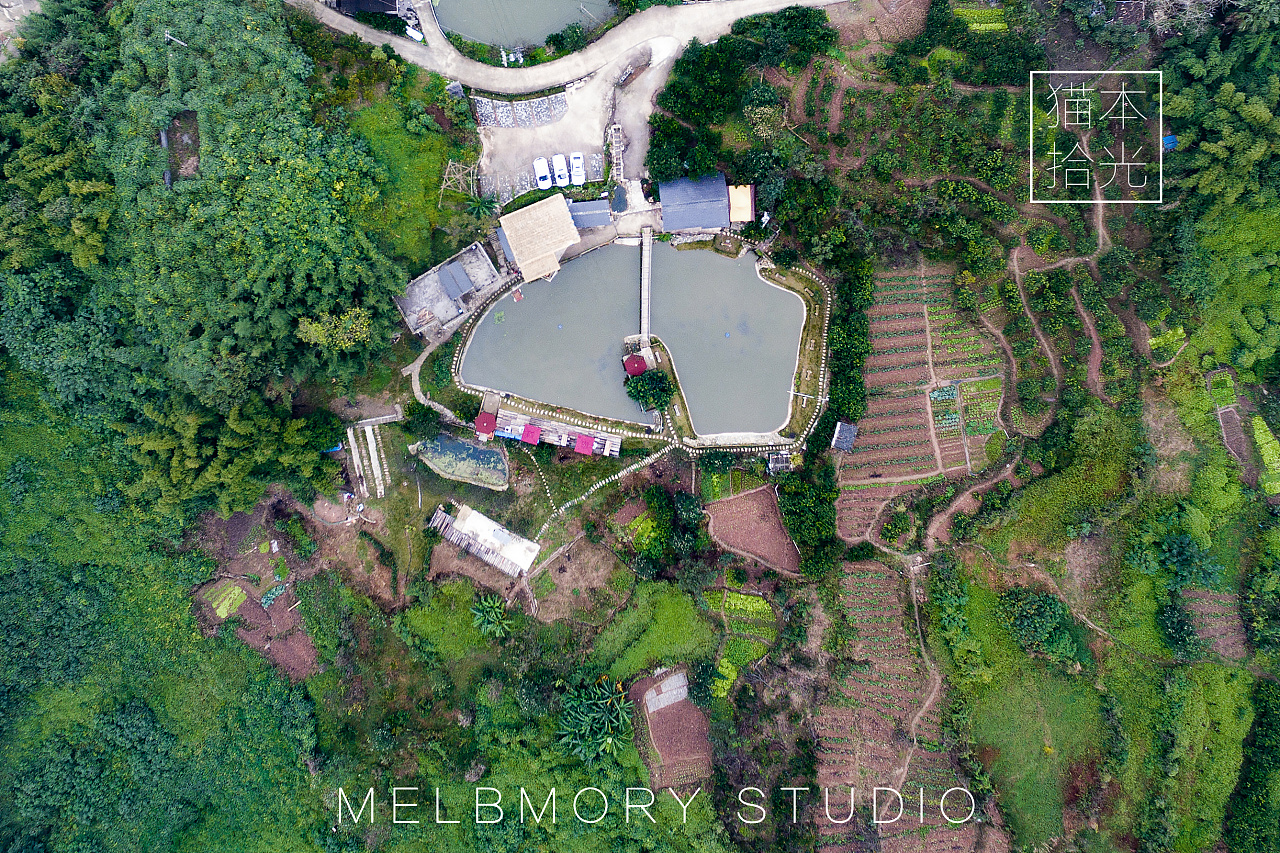 ӟo(w)һܼ˹̎r(sh)