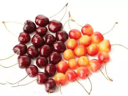 Ї(gu)ҡëWҺ͚W܇(ch)?yn)? width=