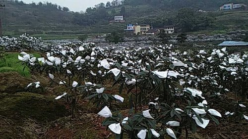 ؑcժ˵ĵط,ȥB(ti)ˈ@