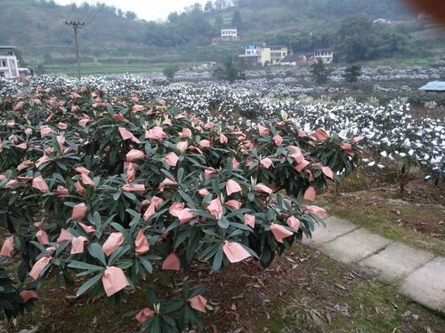 ؑcժ˵ĵط,ȥB(ti)ˈ@