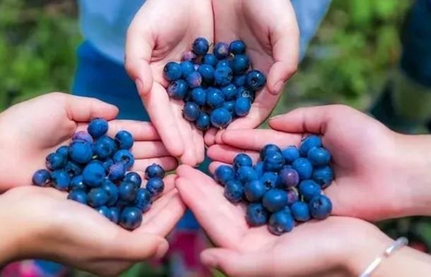 515ɳƺ΅^(q)(zhn)ɣ{ݮժ_@