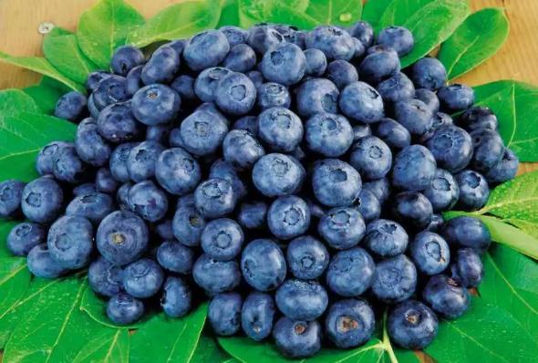 515ɳƺ΅^(q)(zhn)ɣ{ݮժ_@