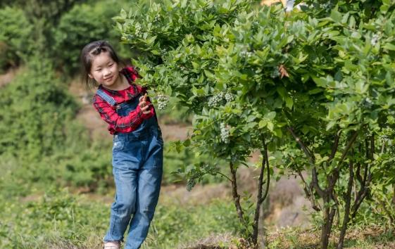 515ɳƺ΅^(q)(zhn)ɣ{ݮժ_@