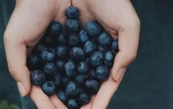 515ɳƺ΅^(q)(zhn)ɣ{ݮժ_@