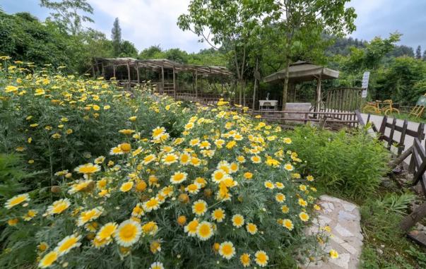 515ɳƺ΅^(q)(zhn)ɣ{ݮժ_@