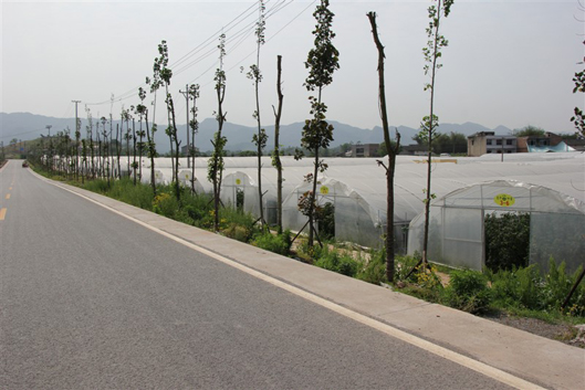 ؑcA߲˻߲l(f)NֲԭB(ti)߲