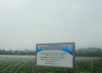 ؑcA߲˻߲l(f)NֲԭB(ti)߲