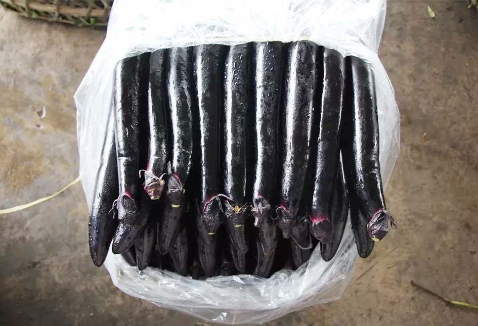 ؑcA߲˻߲l(f)NֲԭB(ti)߲,߲˶Xһ