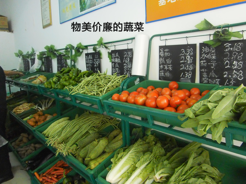 ؑc߲l(f)߲ؑcB(ti)r(nng)I(y)ؑcr(nng)B(ti)r(nng)I(y)