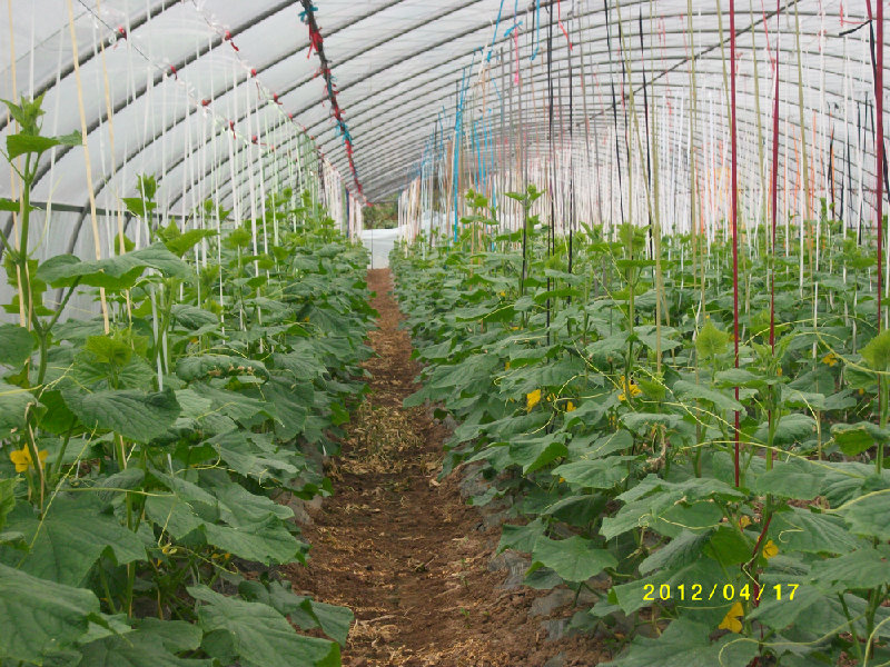 ؑc߲l(f)߲ؑcB(ti)r(nng)I(y)ؑcr(nng)B(ti)r(nng)I(y)