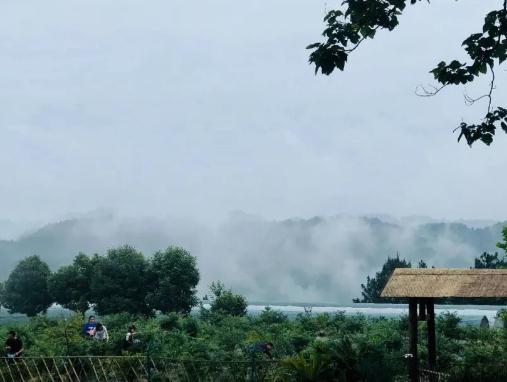 巴南區(qū)安瀾鎮(zhèn)巴南區(qū)安瀾鎮(zhèn) 巴南區(qū)安瀾鎮(zhèn)巴南區(qū)安瀾鎮(zhèn)