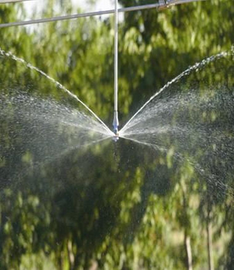 ǻr(nng)I(y)(lin)W(wng)r(nng)I(y)