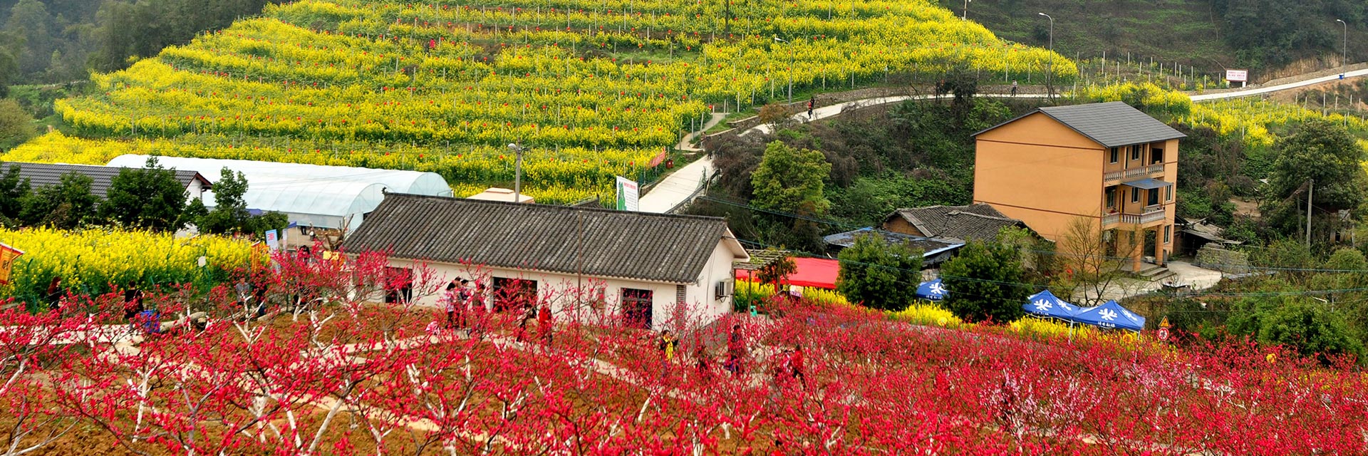 U´g,һ·g,r(nng)ҘؑcоGB(ti)r(nng)I(y)I(y)