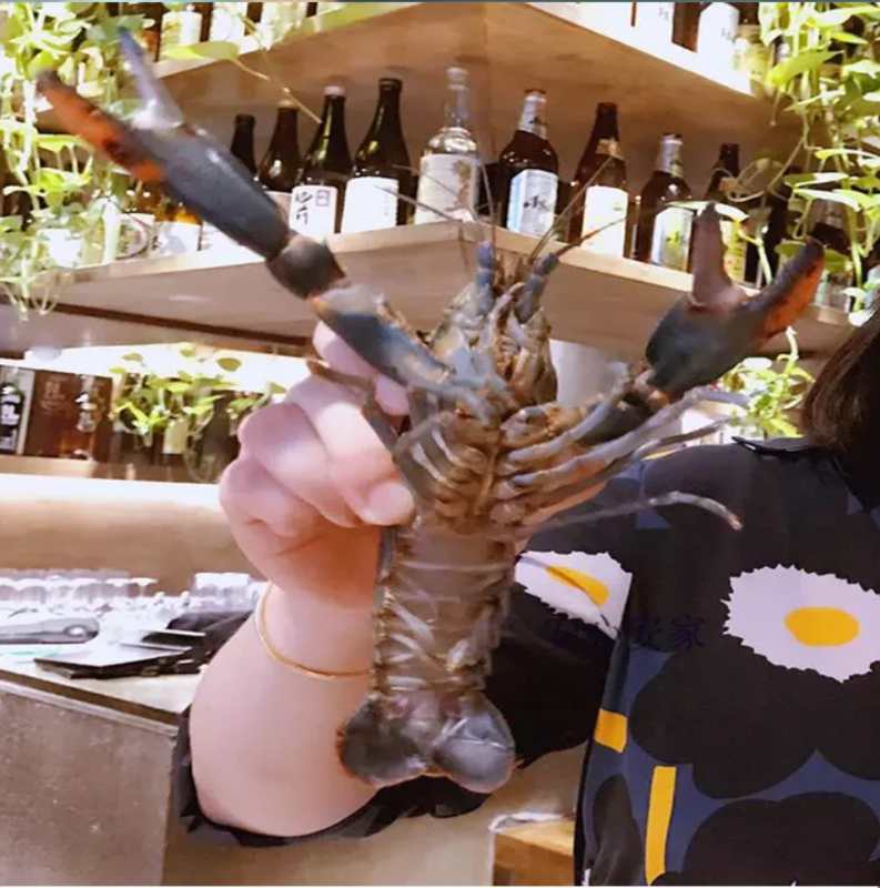 ޵ˮrrl(f)rB(yng)ֳ-ؑcMr(nng)I(y)Ƽ