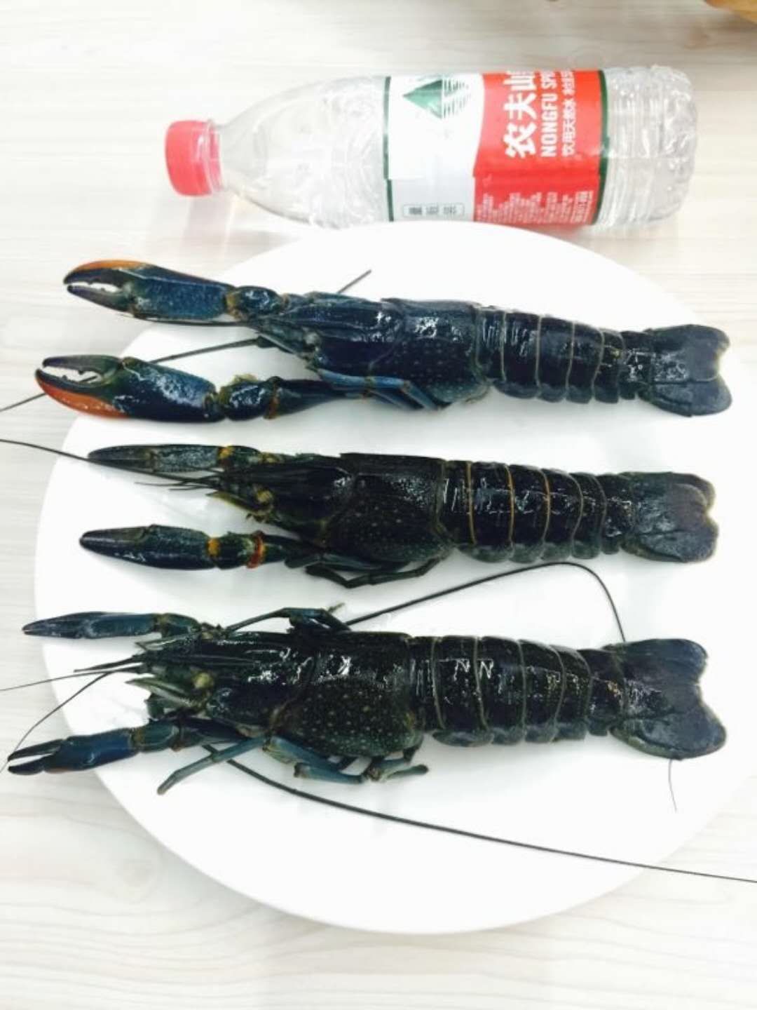 ޵ˮrrl(f)rB(yng)ֳ-ؑcMr(nng)I(y)Ƽ