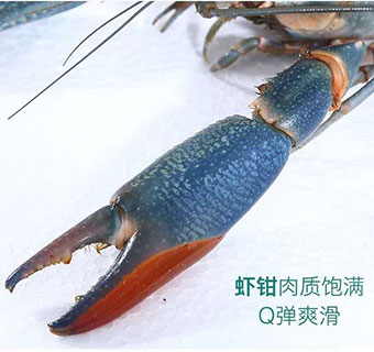 ޵ˮrrl(f)rB(yng)ֳ-ؑcMr(nng)I(y)Ƽ