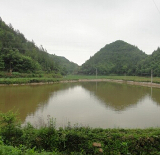 云陽清水家佳圓<a style=color:#FF0000 href=http://www.pcluntan.com/art-10-3-yw.html?dq=>農(nóng)家樂</a> 云陽清水家佳圓<a style=color:#FF0000 href=http://www.pcluntan.com/art-10-3-yw.html?dq=>農(nóng)家樂</a>