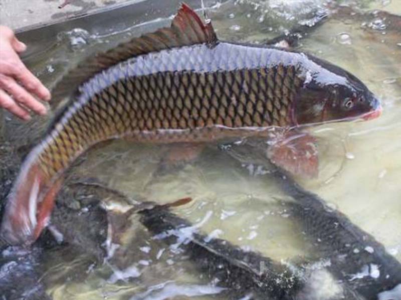 ؑcЙC(j)~(y).Ї(gu)|ؑcB(ti)~(y).Ї(gu)|ؑcҰ~(y),l(f)